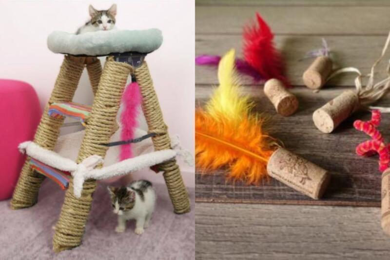 Brinquedos Reciclados para Pet: ideias criativas, baratas e sustentáveis que o seu animal vai adorar Brinquedos Reciclados para Pet