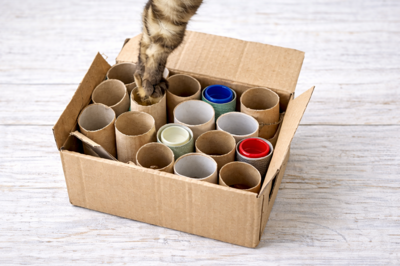 Brinquedos Reciclados para Pet: ideias criativas, baratas e sustentáveis que o seu animal vai adorar brinquedos reciclados para pet ideias 8