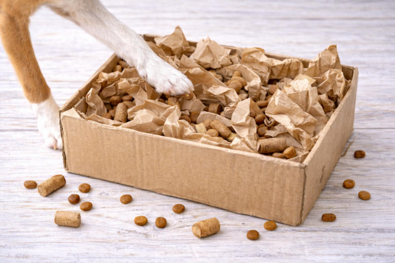 Brinquedos Reciclados para Pet: ideias criativas, baratas e sustentáveis que o seu animal vai adorar brinquedos reciclados para pet ideias 9