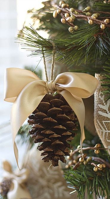 decoraçao com pinhas
