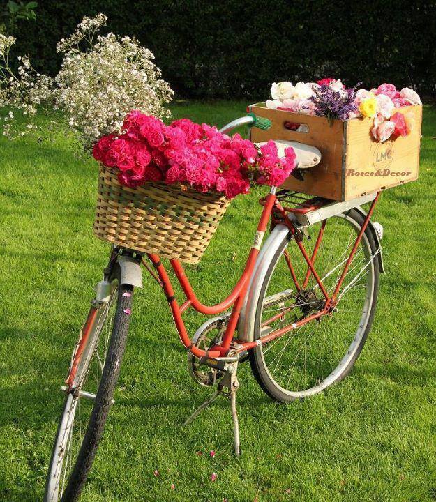 decoraçao de jardim com bicicleta