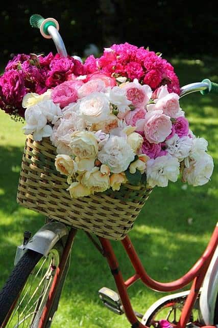 decoraçao jardim bicileta flores