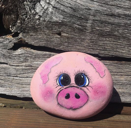 pedras pintadas animais porco