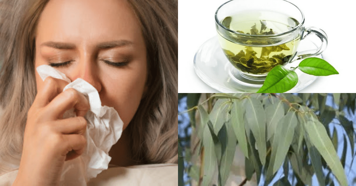 remedio caseiro para rinite alergica