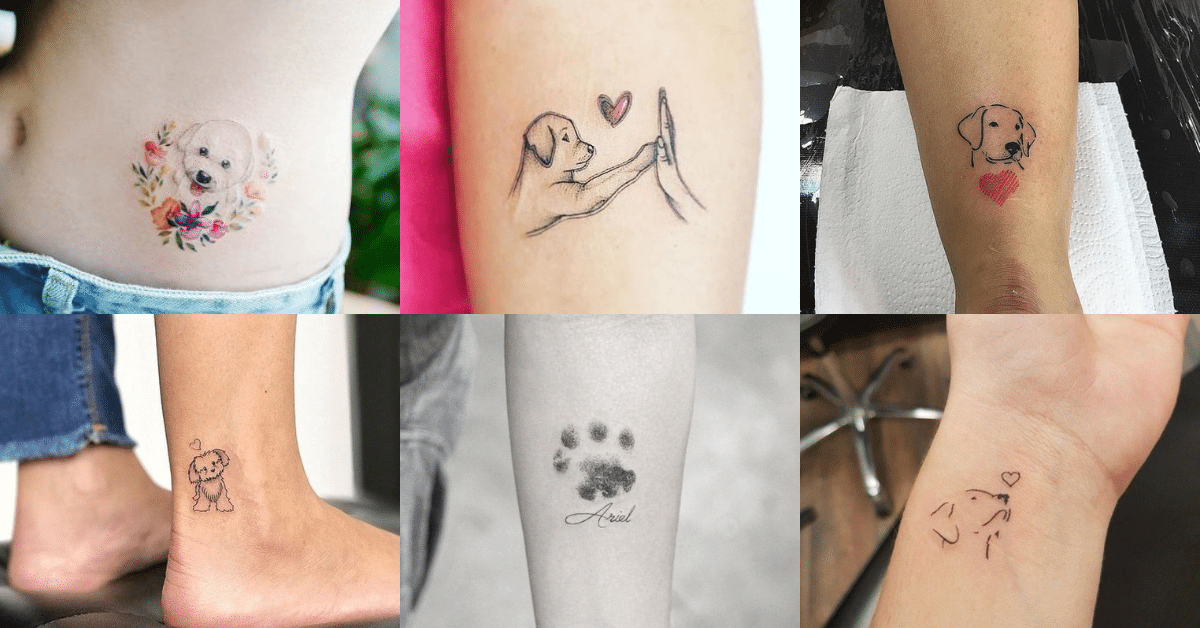 tatuagens de cachorro