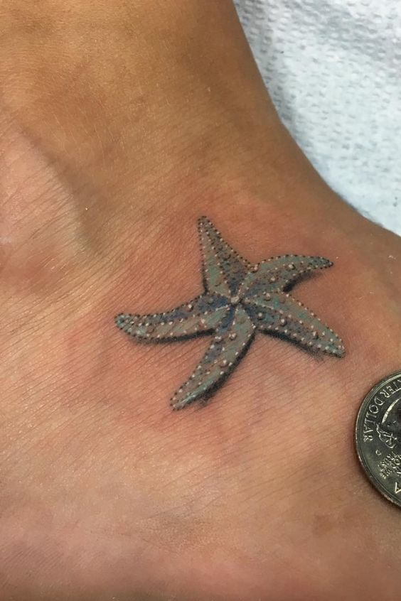 tatuagens de estrela mar