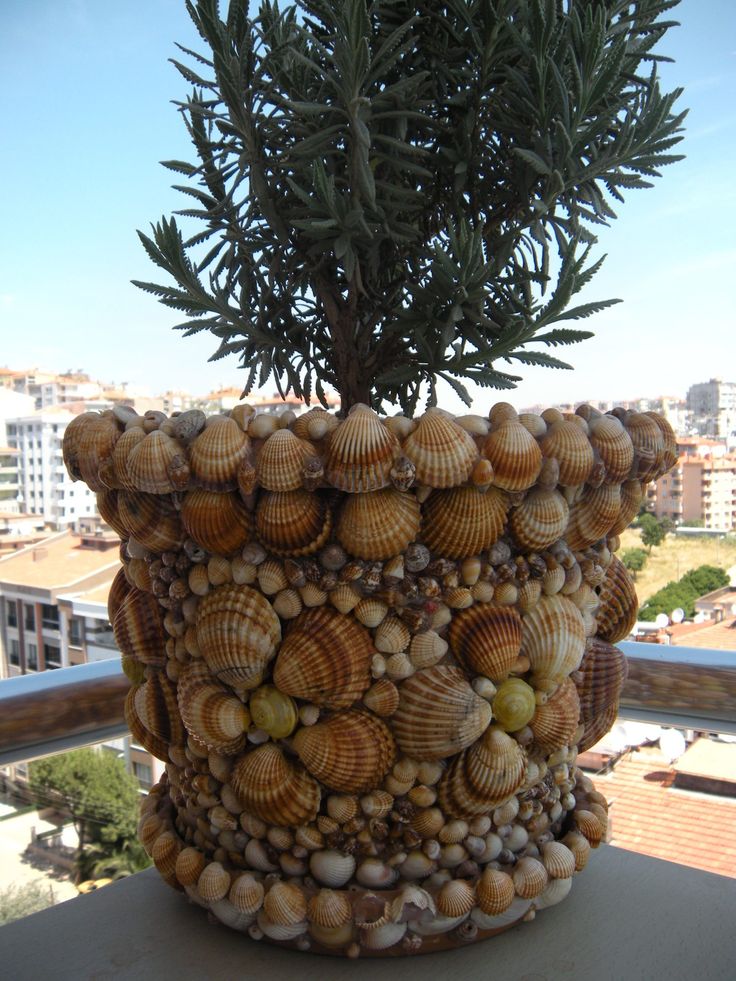 vasos decorados com conchas do mar 9