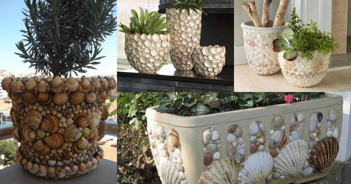 vasos decorados com conchas do mar
